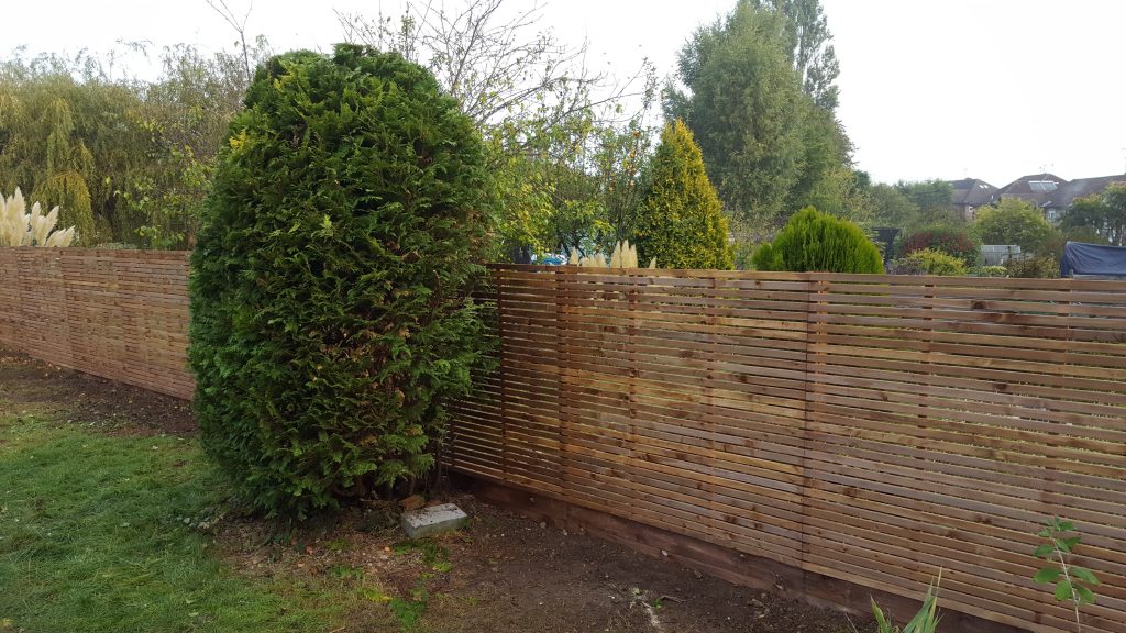 Contemporary and decorative fencing