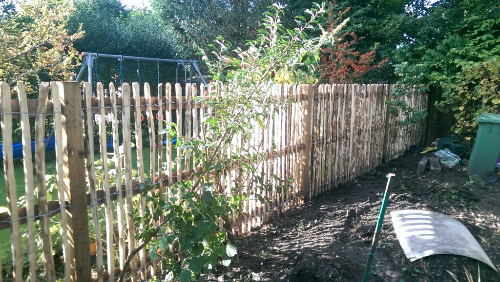 Contemporary and decorative fencing