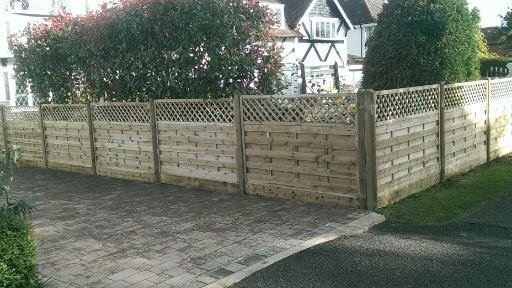 Contemporary and decorative fencing