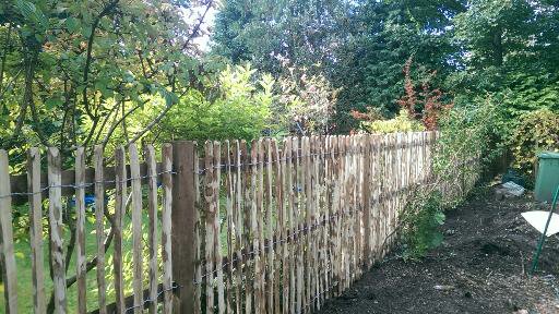 Contemporary and decorative fencing