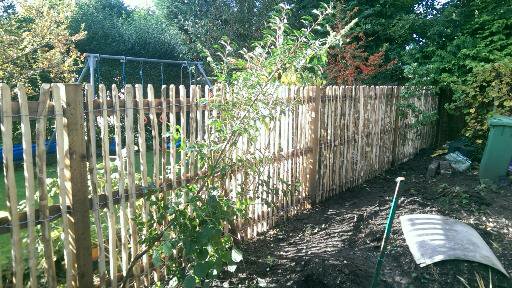 Contemporary and decorative fencing