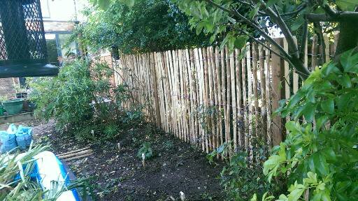 Contemporary and decorative fencing