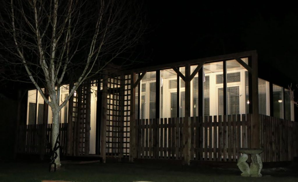 Pergola, post and rail and trellis